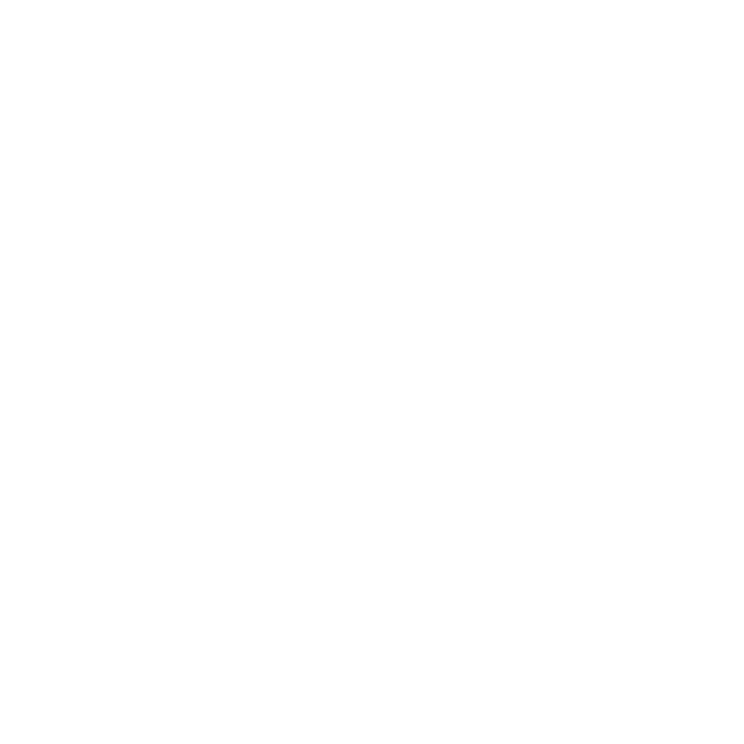 Custom Software Development